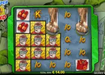 Play  Online Slot
